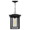 Cwi Lighting Winfield 1 Light Black Outdoor Hanging Light 0414P10-1-101 - alternate 5
